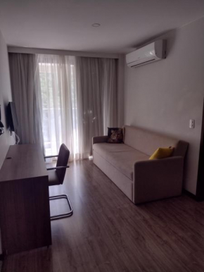 Apto inteiro sala e 1 quarto na Barra Olímpica